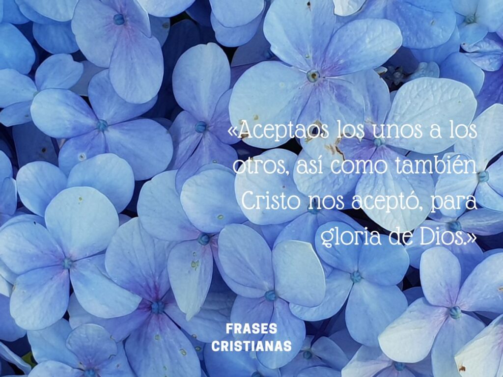 50 Frases Cristianas Para Empezar Tu Día Con Fe Y Optimismo