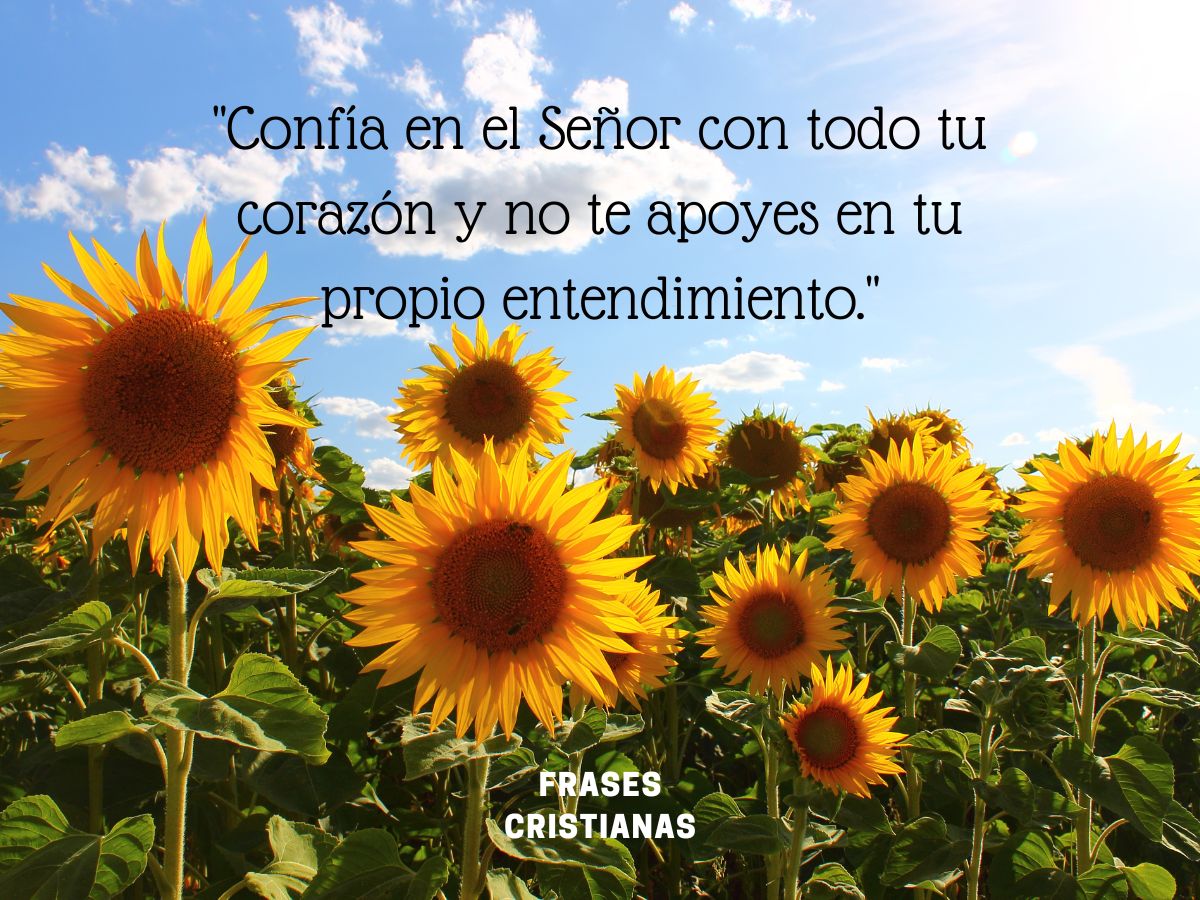50 Frases Y Mensajes De Fe Y Fortaleza En Dios Para Empezar Tu Día Con 50 Frases Y Mensajes De Fe Y Fortaleza En Dios Para Empezar Tu Día Con
