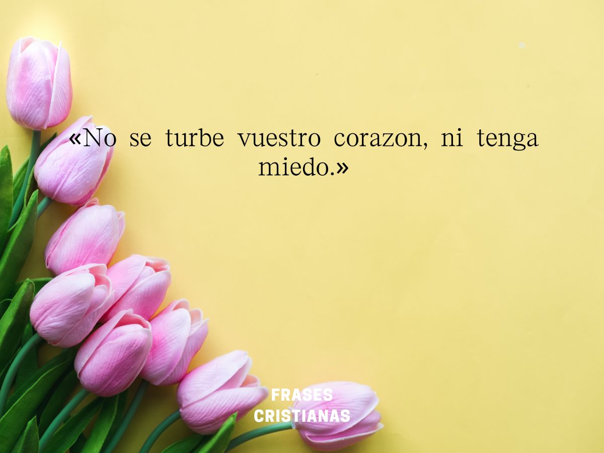 50 Frases Cristianas Para Empezar Tu Día Con Fe Y Optimismo