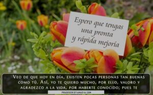 50-frases-cristianas-para-desearte-una-pronta-recuperacion