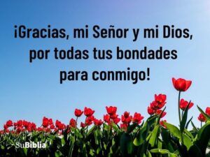 50-frases-inspiradoras-para-dar-gracias-a-dios-en-todo-momento