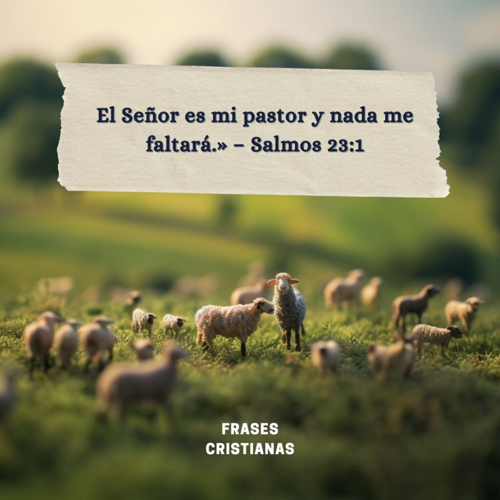 50 frases cristianas motivadoras cortas para reflexionar