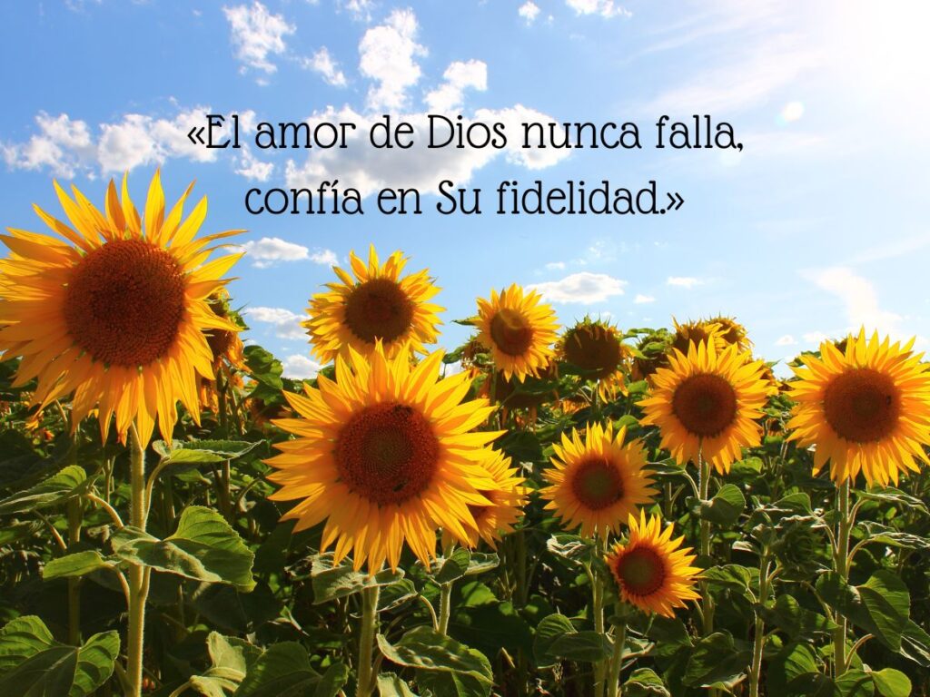 Frases Cristianas Para Empezar La Semana Con Alegría_ Feliz Lunes (2)