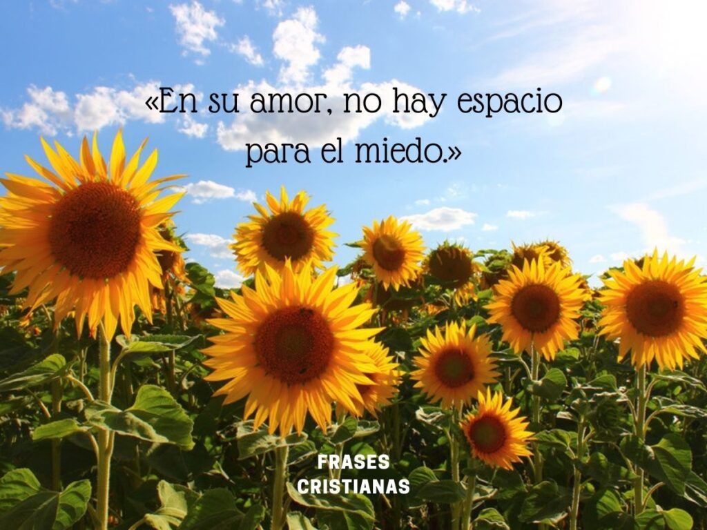 Las Mejores Frases Cristianas Para Compartir En Whatsapp_ ¡inspiración Divina En Cada Mensaje! (3)