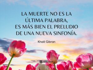 frases-cortas-de-condolencias-cristianas-encuentra-consuelo-en-momentos-dificiles