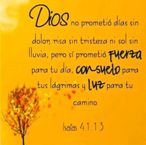 frases-cristianas-de-animo-para-mujeres-encuentra-inspiracion-y-fortaleza-en-la-fe