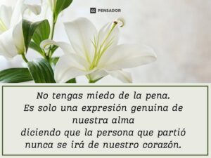 reflexiones-cristianas-sobre-la-muerte-encuentra-consuelo-en-estas-50-frases-inspiradoras